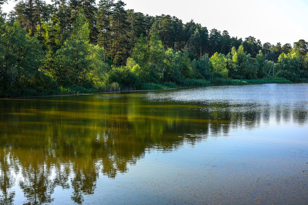 Photograph by Анна Реснина