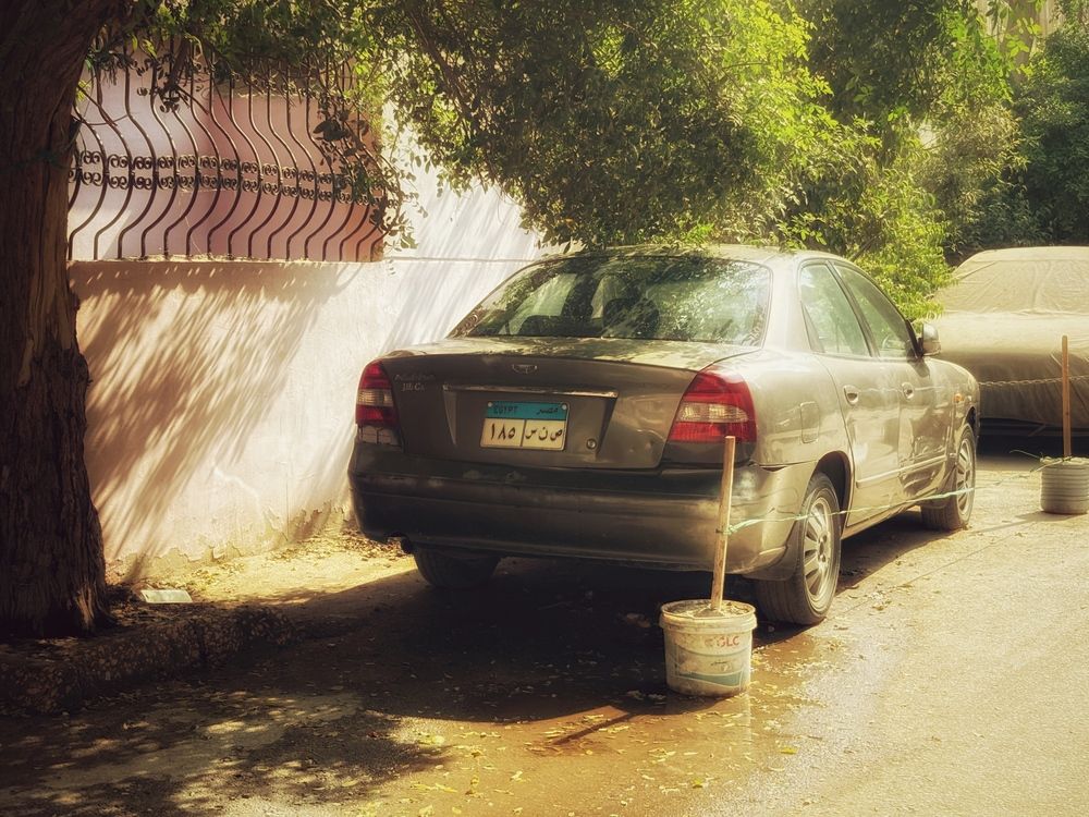 Photograph by Moamen Khaled