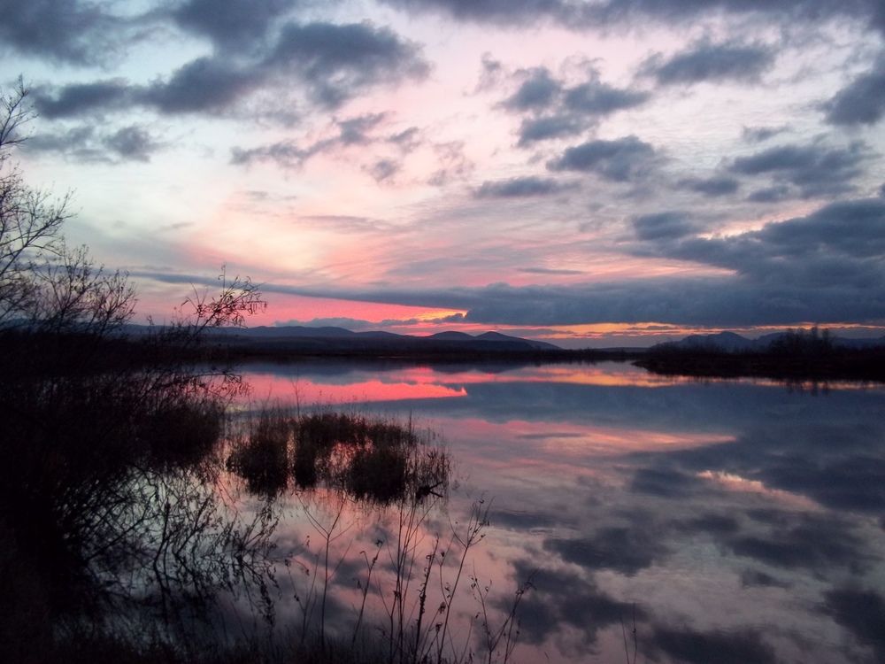 Photograph by Сергей Копылов