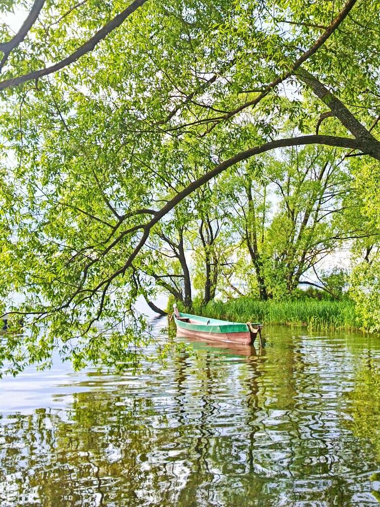 Photograph by Анна