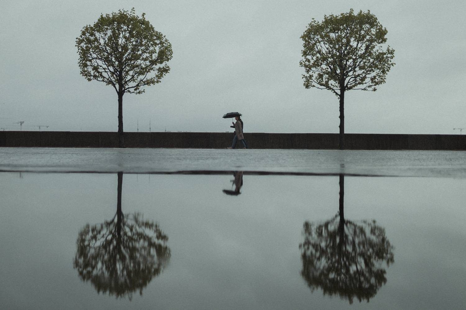 Фотография #12299241