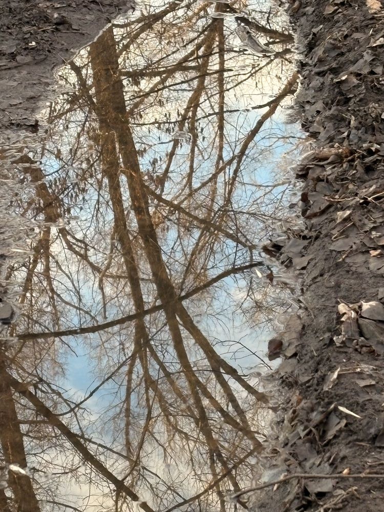 Photograph by Елена Рябова