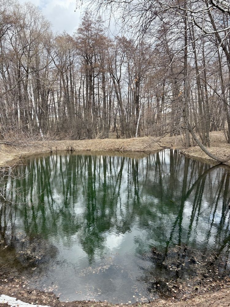 Серебрянное озеро.