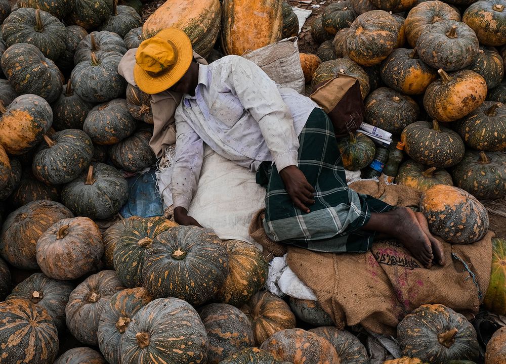 Sleep on pumpkins.