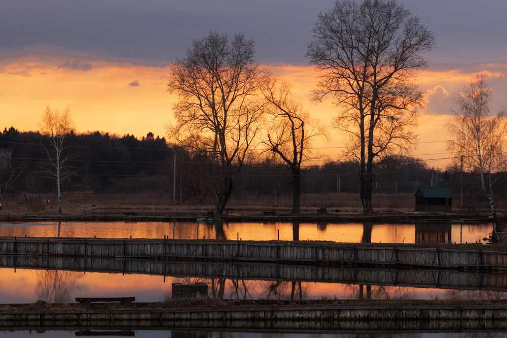 Фотография автора Ирина Гриценко