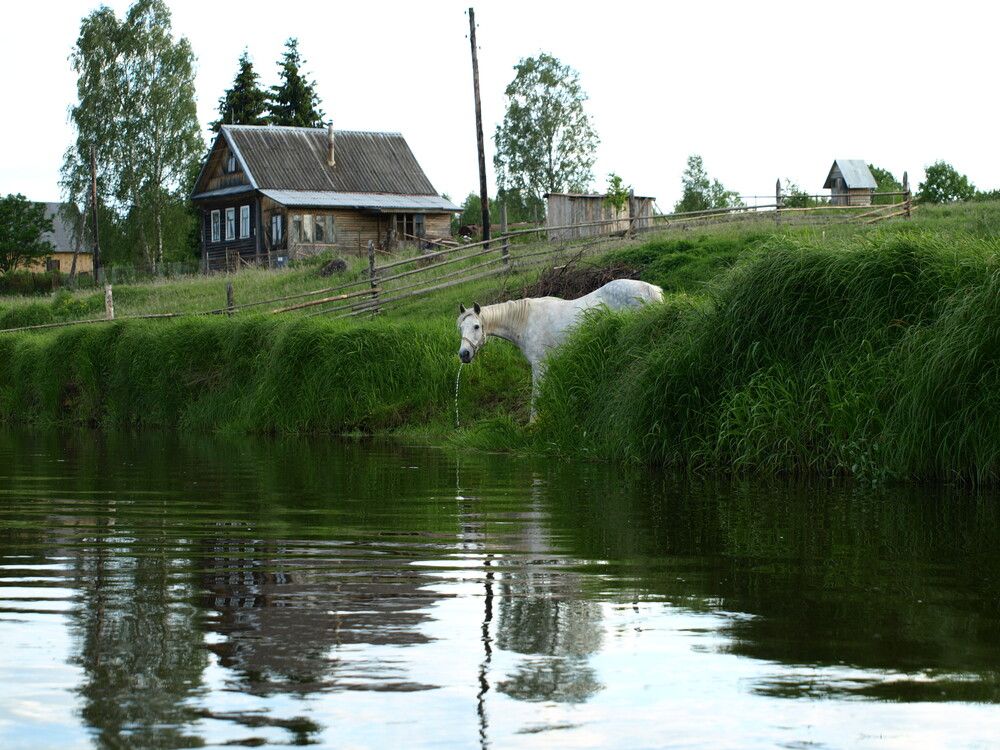 Photograph by Любовь