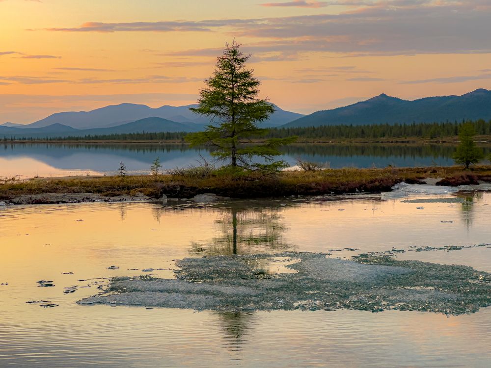 Photograph by Елена Данченко