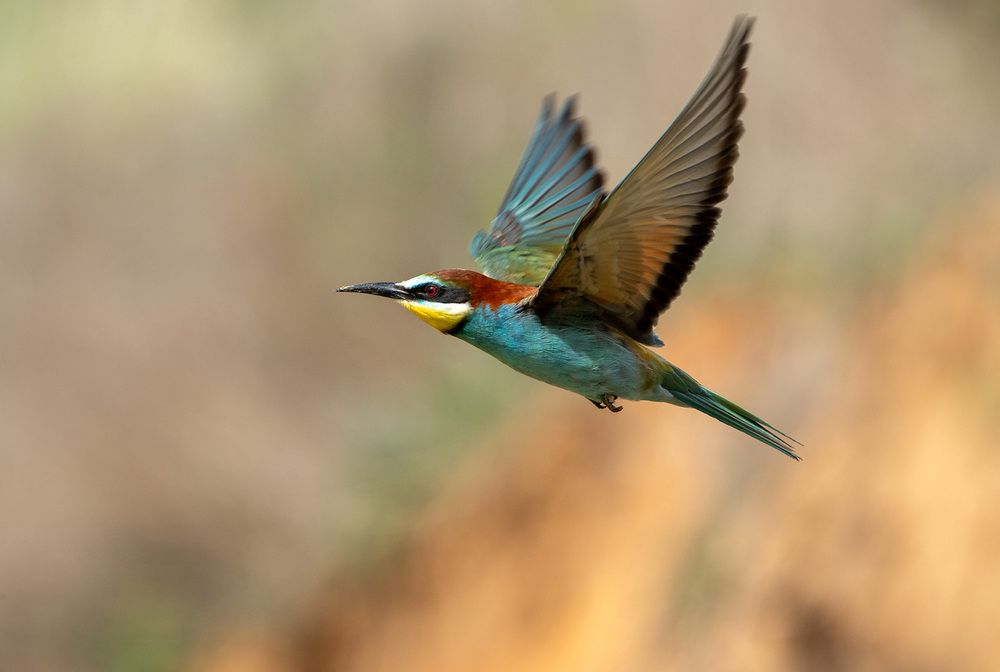 Photograph by Олег Есиков