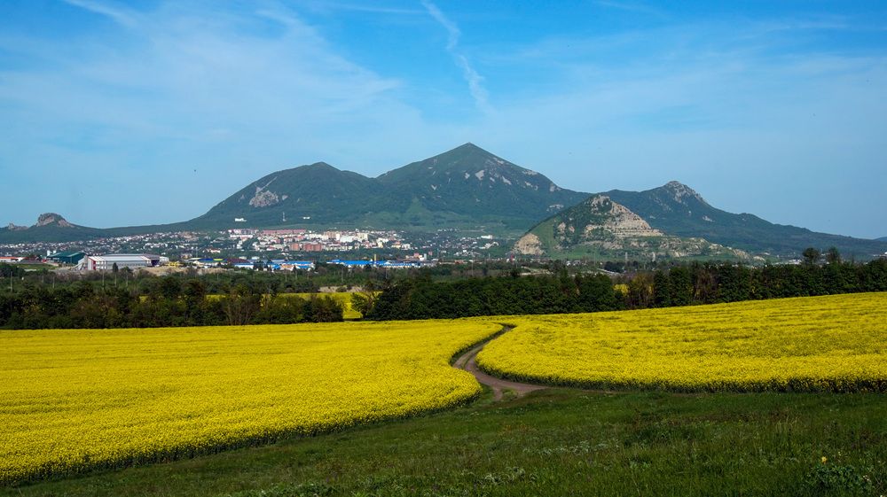 Фотография автора Вадим Карпов