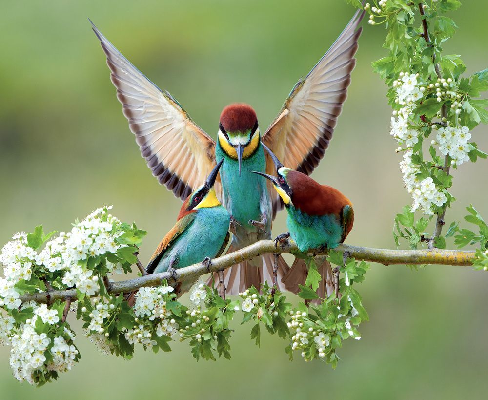 Photograph by Олег Есиков