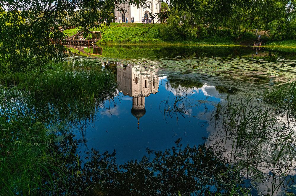 Photograph by Vladimir  Komarov