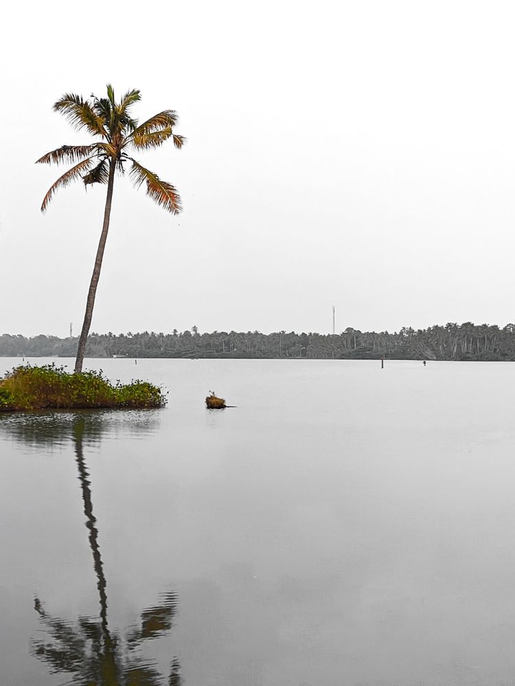 Photograph by Ameen Ahmed L