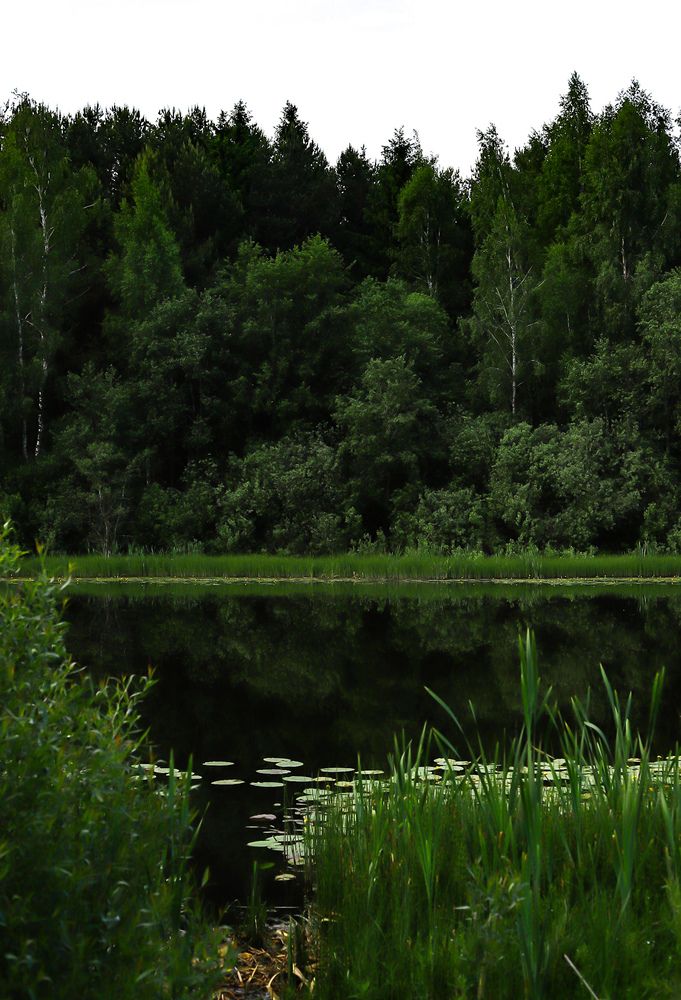 Photograph by Руслана Ковалевская