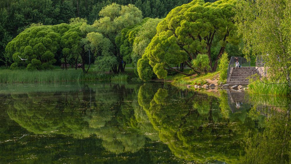 Photograph by Марина Короткова