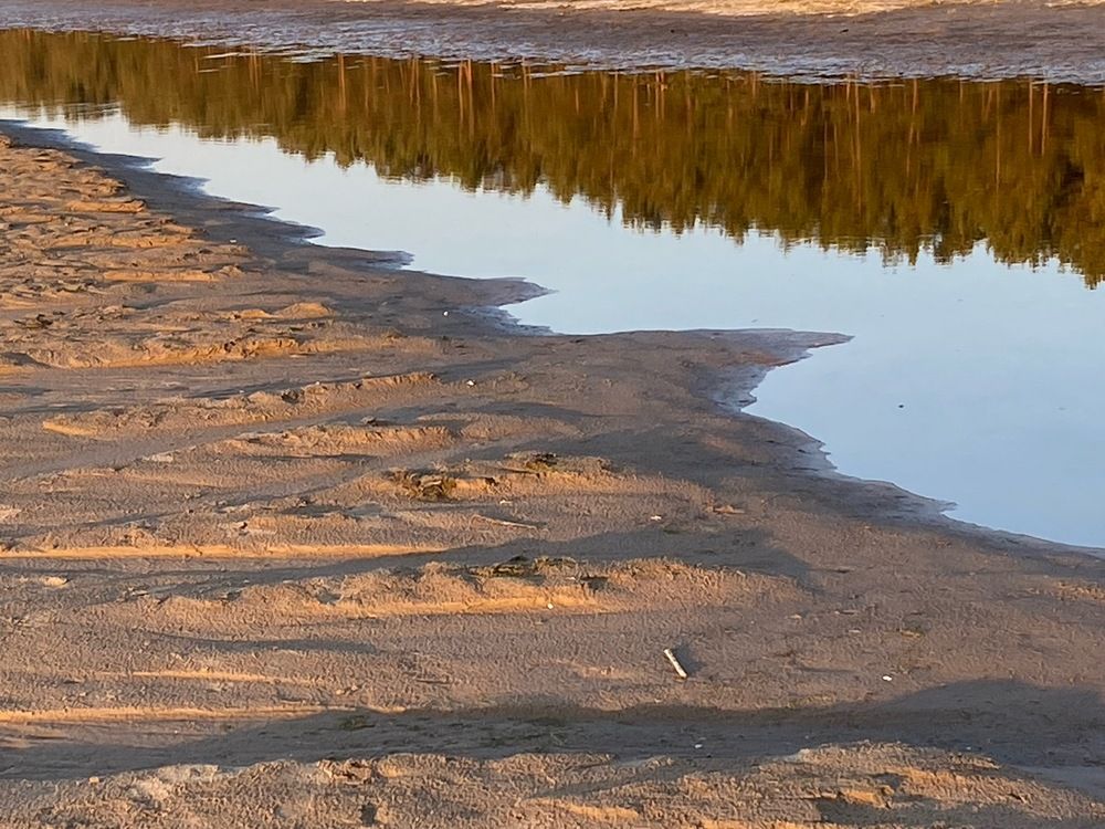 Photograph by Лидия Горностаева