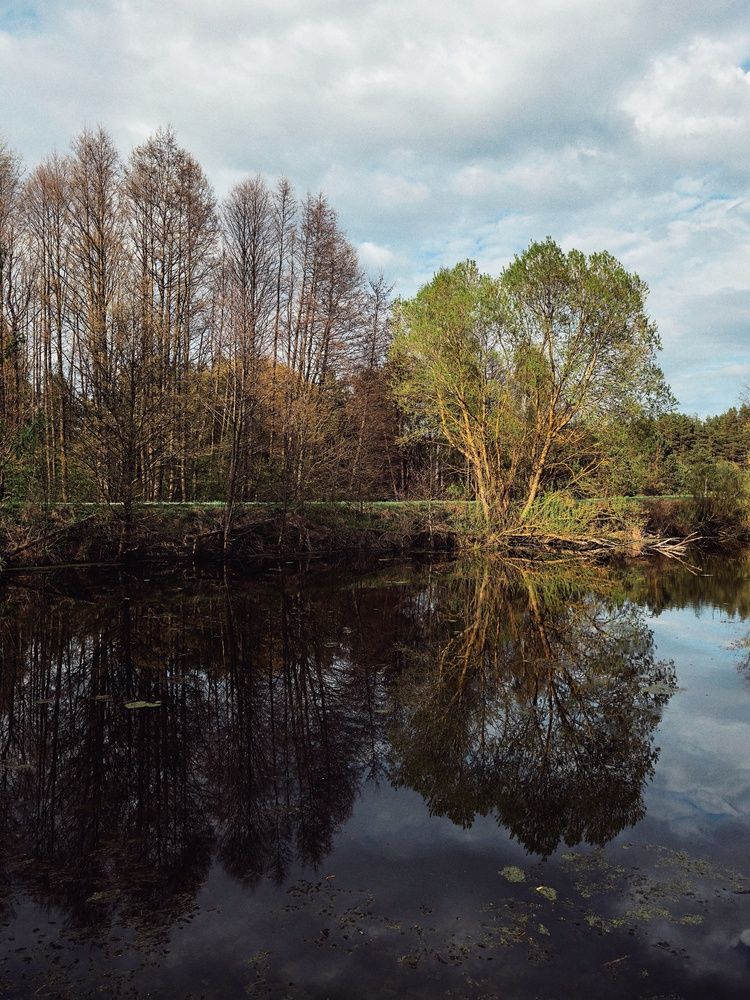 Photograph by Наталья Жуковская