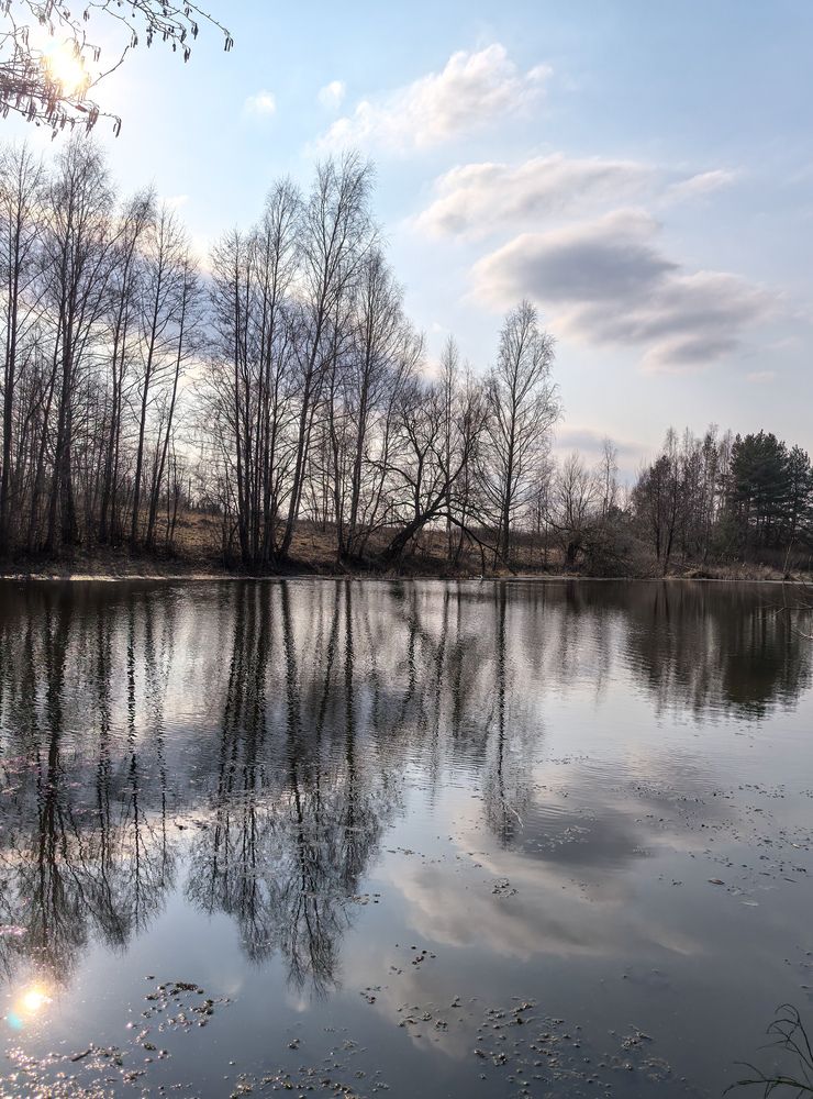 Photograph by Наталья Жуковская