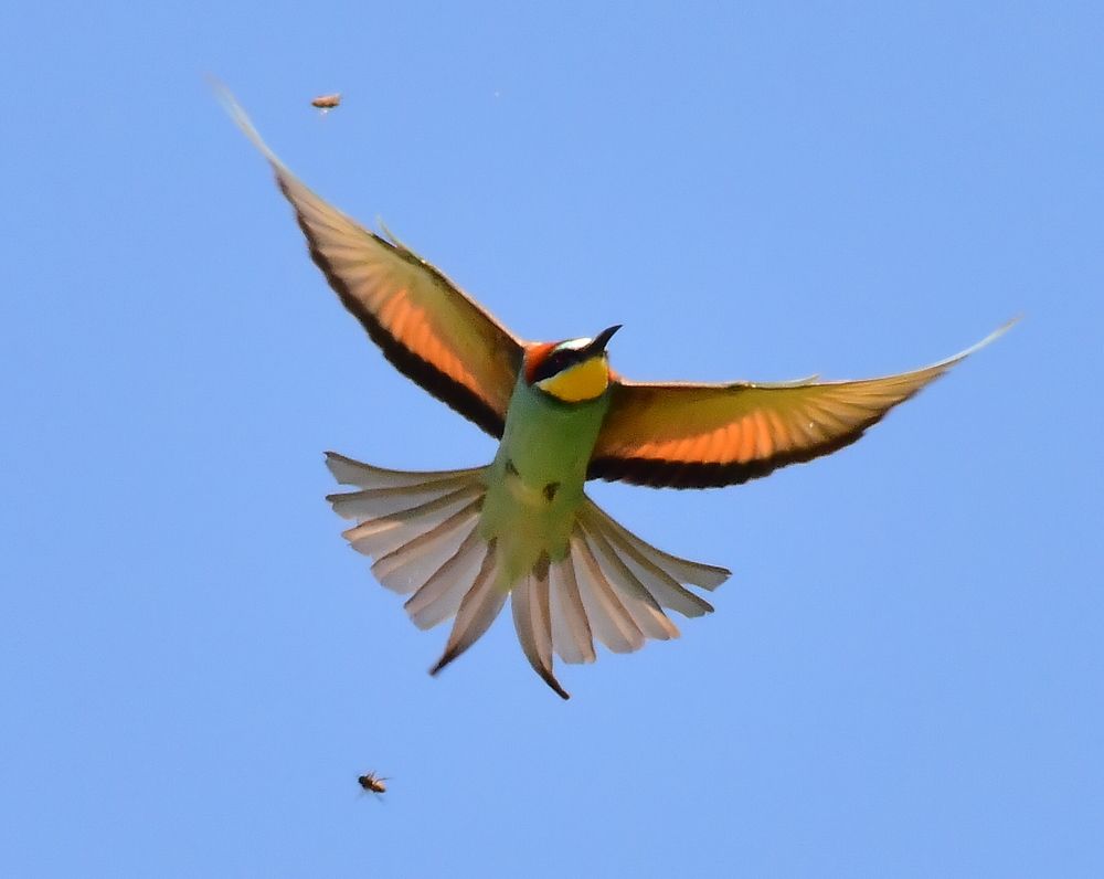 Photograph by Николай Абакумов