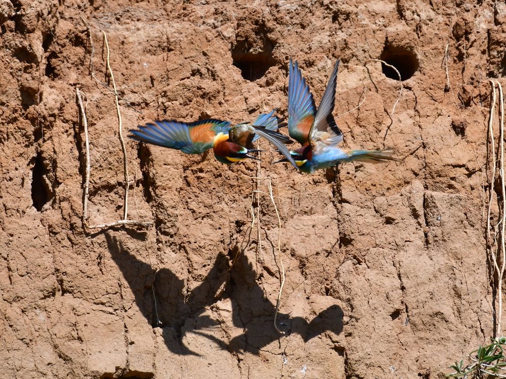 Photograph by Николай Абакумов