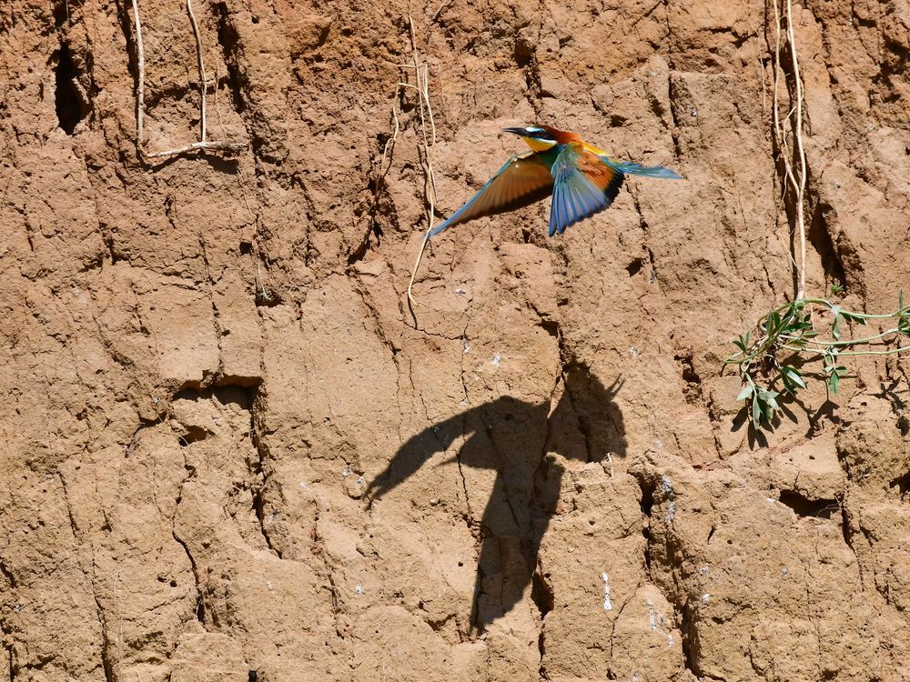 Photograph by Николай Абакумов