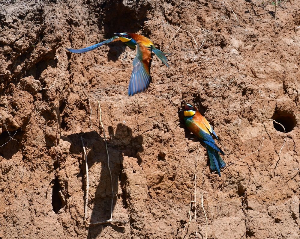 Photograph by Николай Абакумов