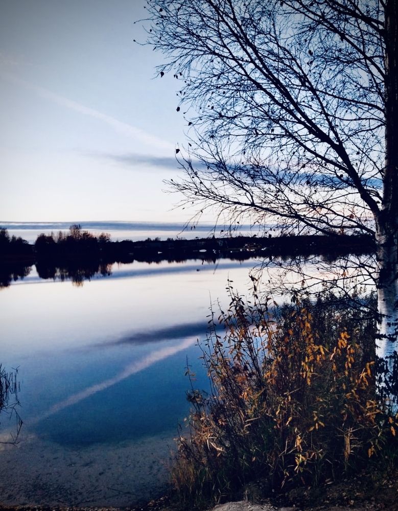 Photograph by Anna Krivorucko