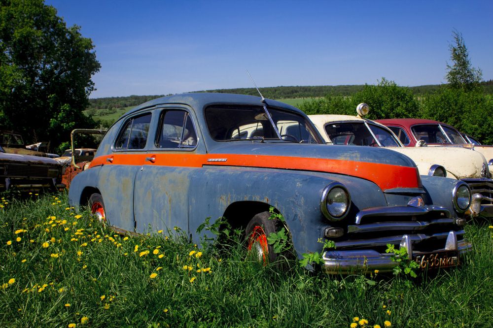 Photograph by Елена Фатьянова