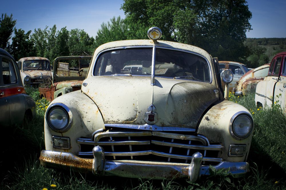 Photograph by Елена Фатьянова