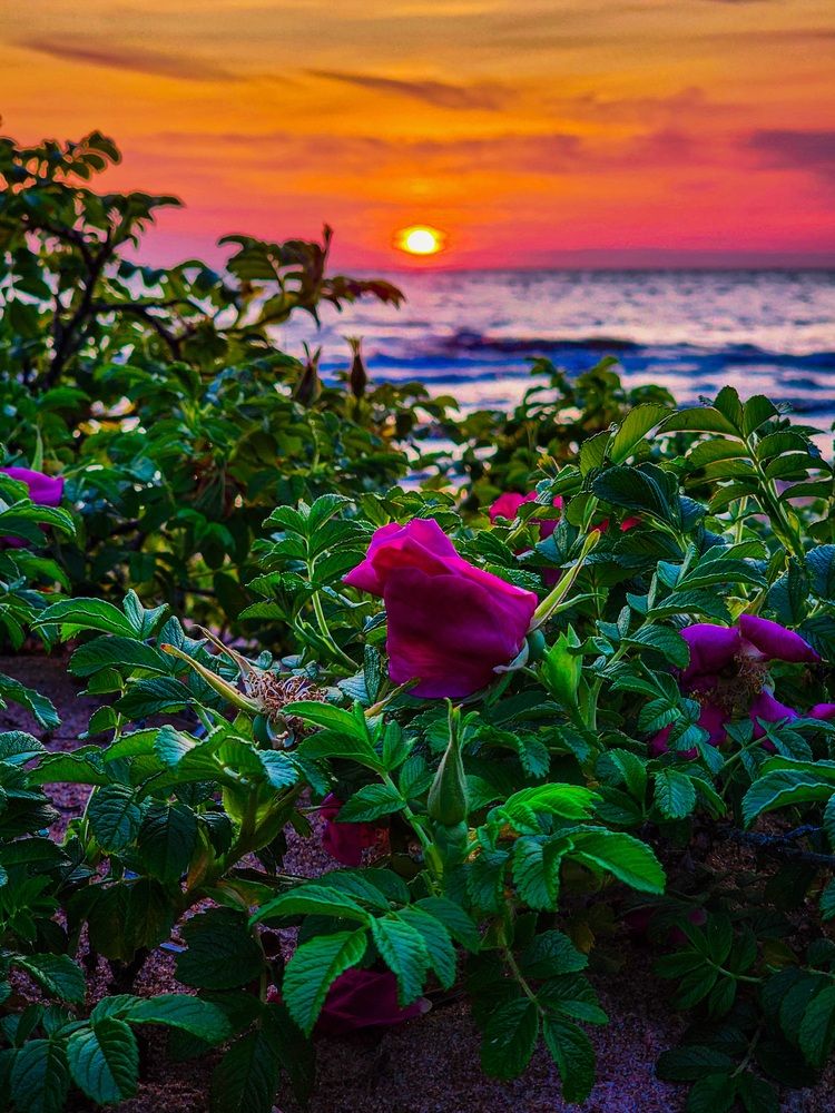 Фотография автора Evgeniy Shabanov