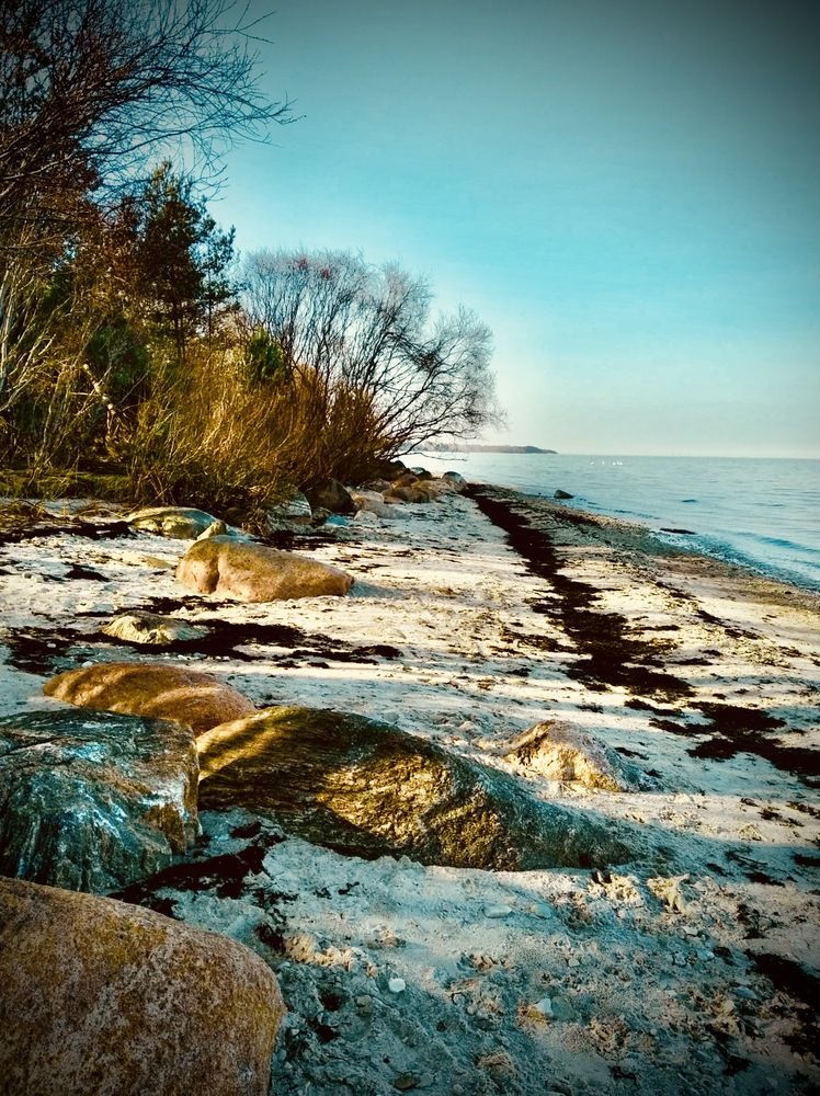 Photograph by Anna Krivorucko