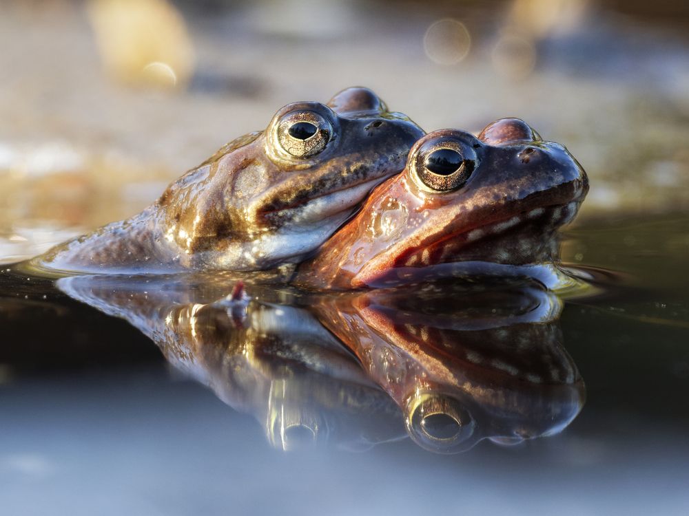 Photograph by Jørgen Hovde