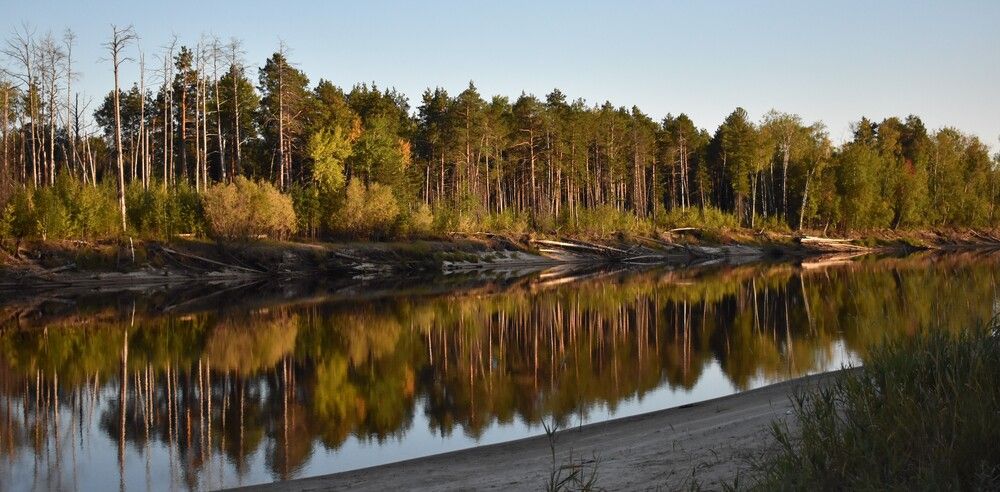 Река Лямин Сургутский район ХМАО-Югра