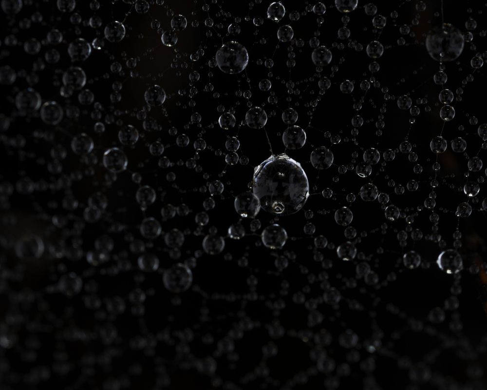 Photograph by Jørgen Hovde