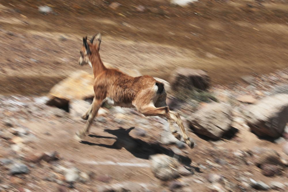 Photograph by Айдын Мехтиев