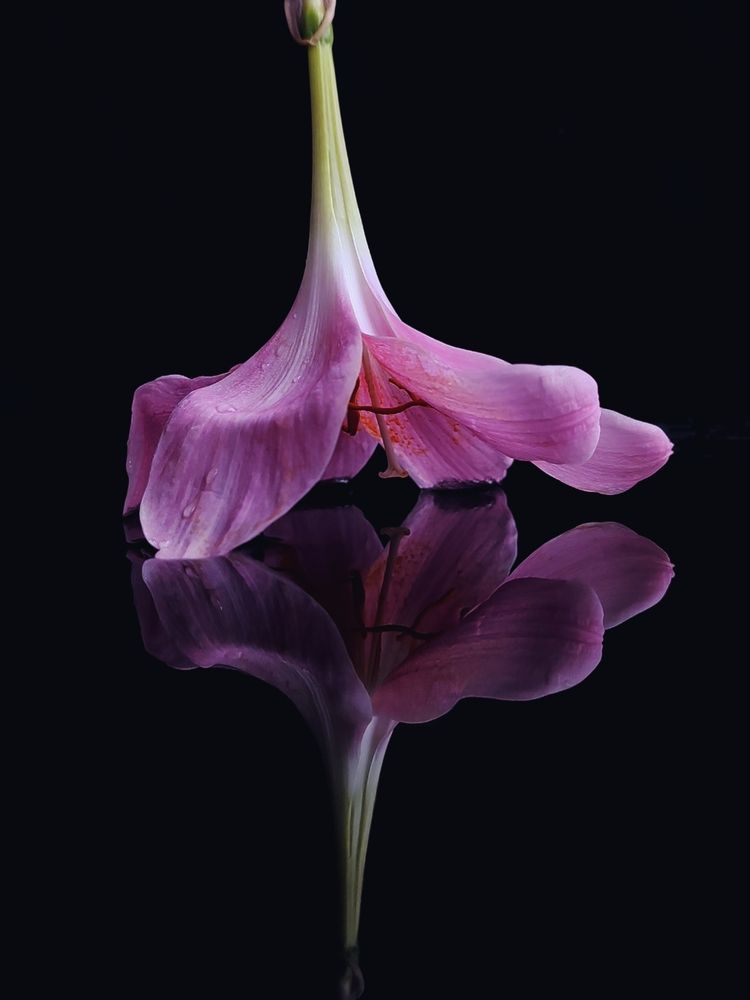 Photograph by Maria Stankevich