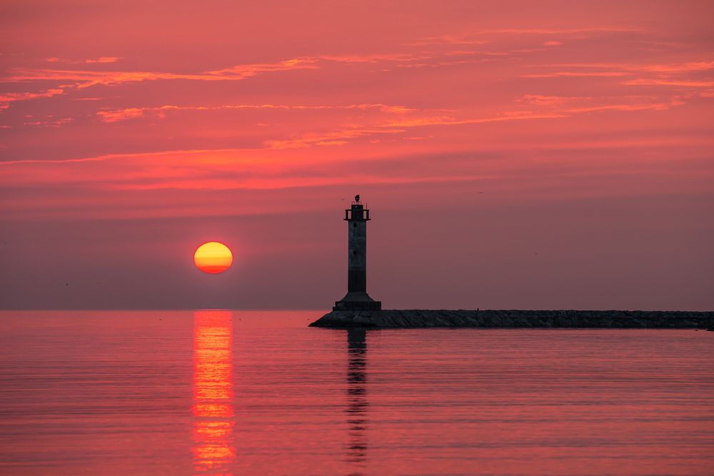 Фотография автора Mika Mgla