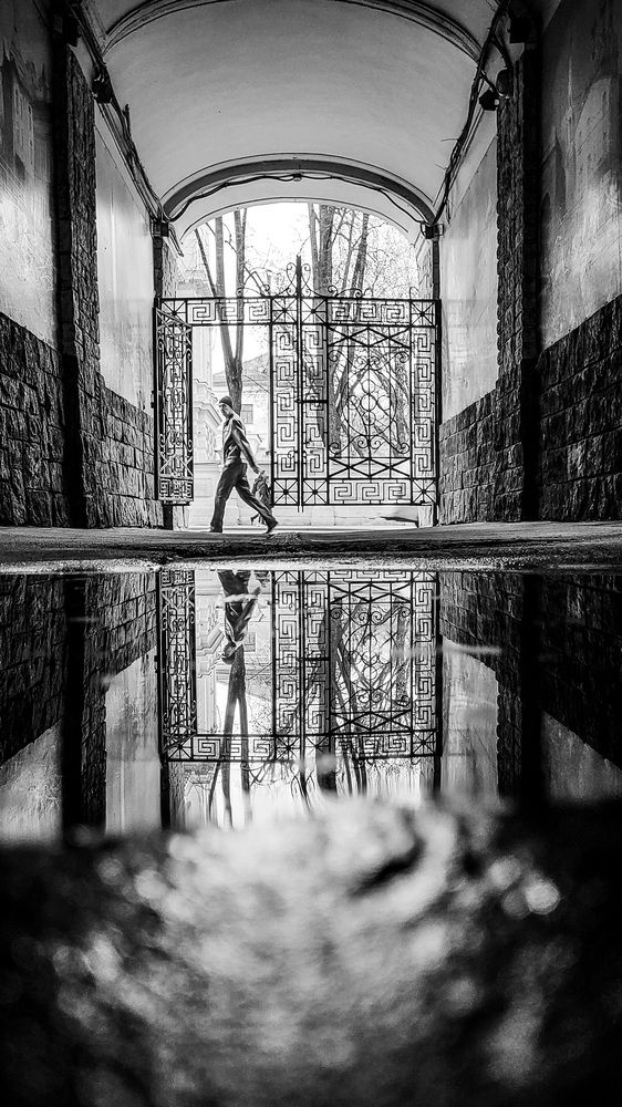 Photograph by Дарья