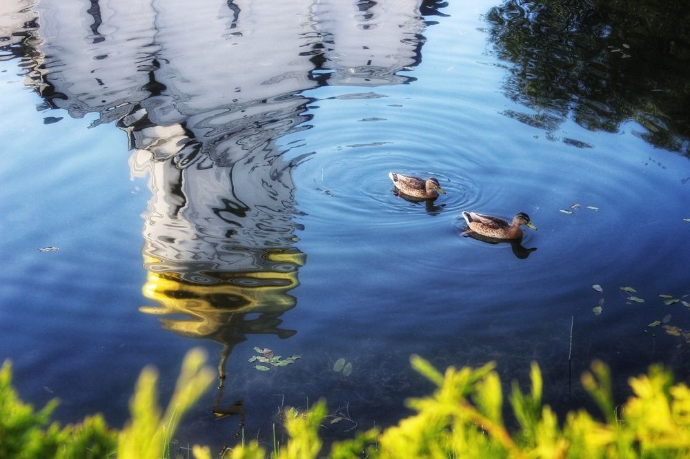 Photograph by Татьяна Сычёва