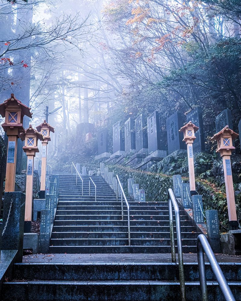 Фотография автора ron._. stagram