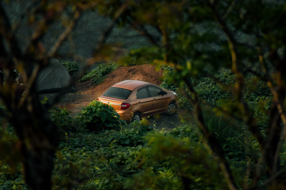 Photograph by Ashiq P F Mohammed