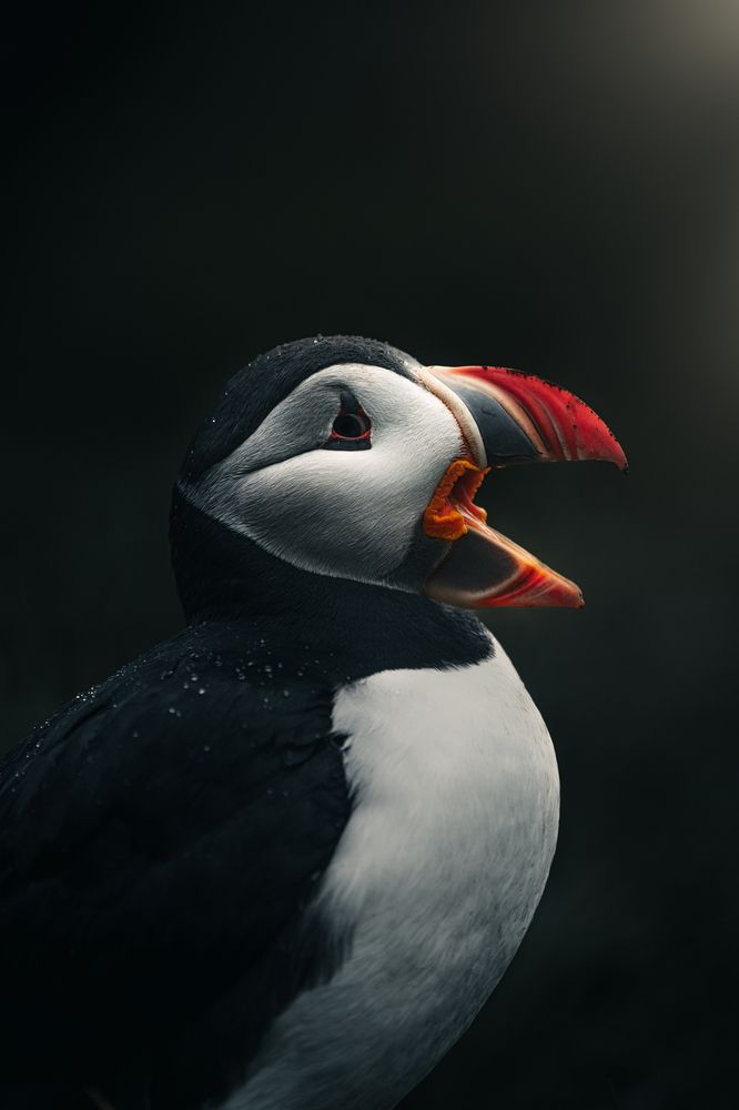 Photograph by Bjoern Hohler