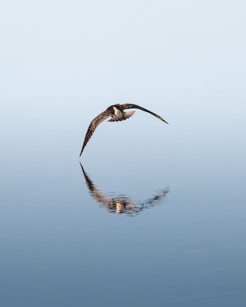 Photograph by Sergei