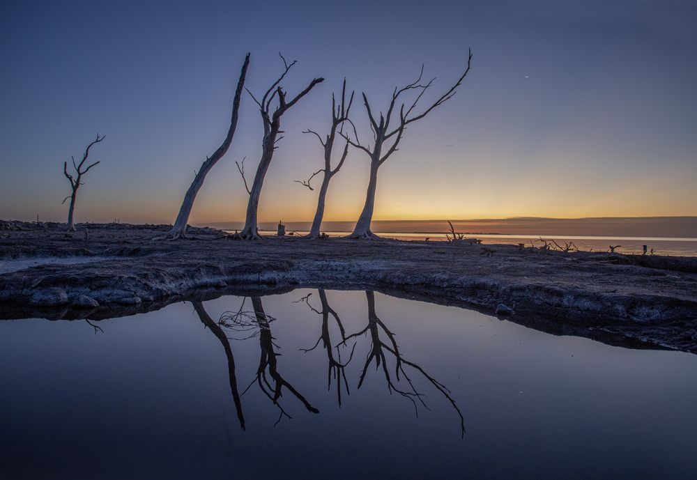 Фотография автора Marina Martorelli