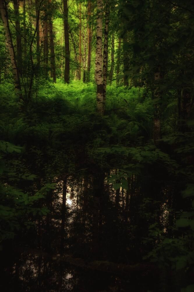 Photograph by Митюшкова Алёна