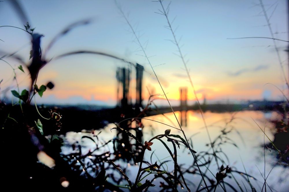 Photograph by Suria Labid