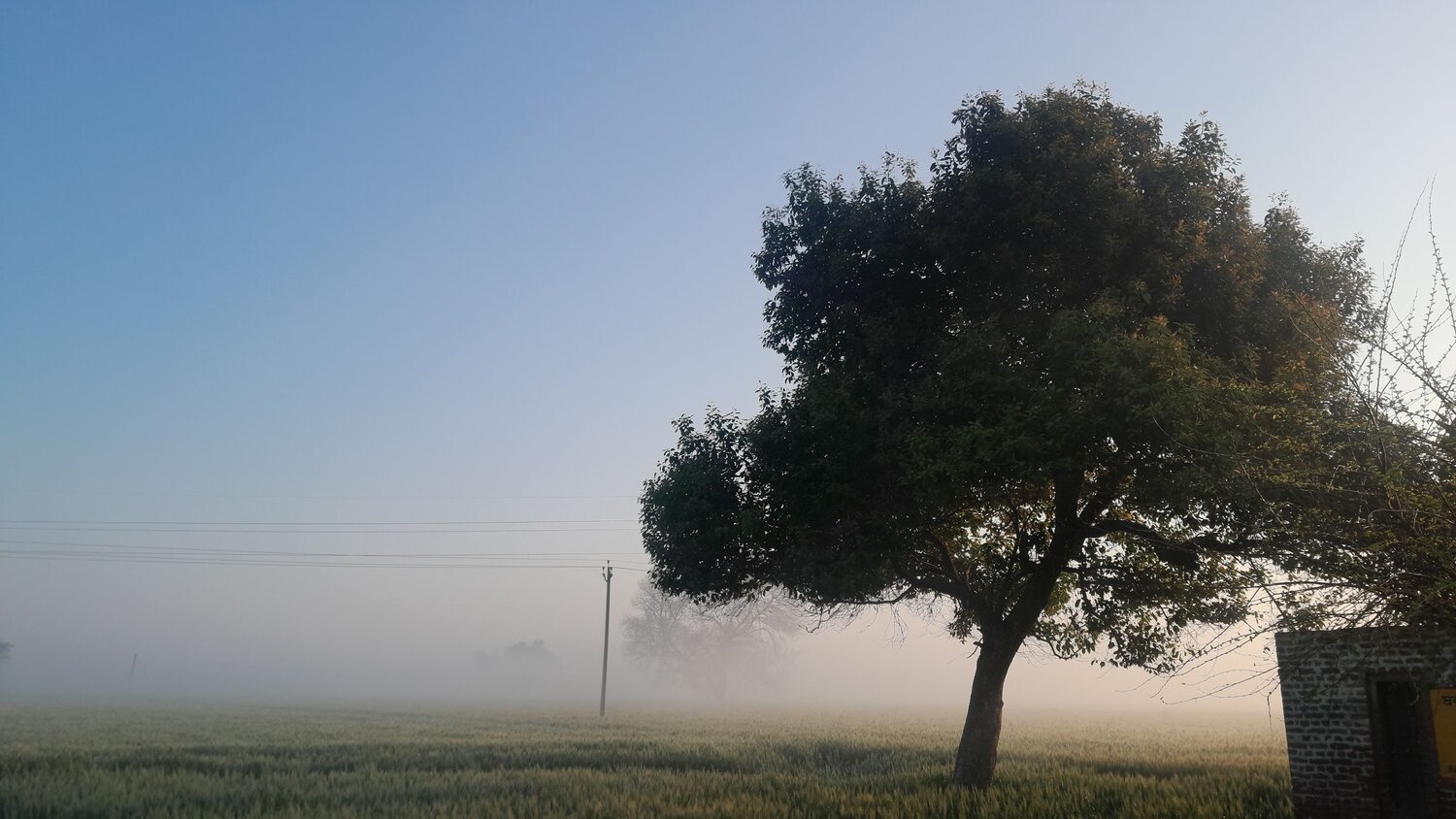 A foggy winter morning in Punjab