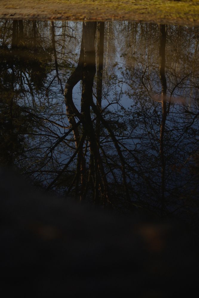 Фотография автора Екатерина Высоцкая