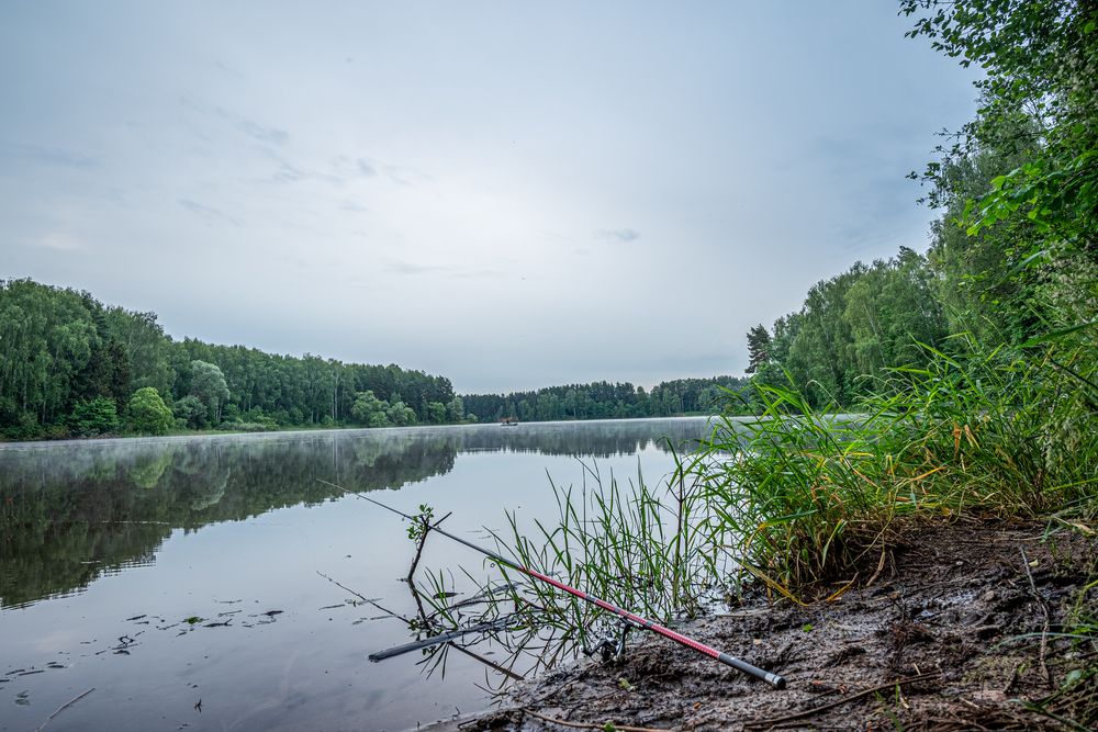 Photograph by Павел Спиваков