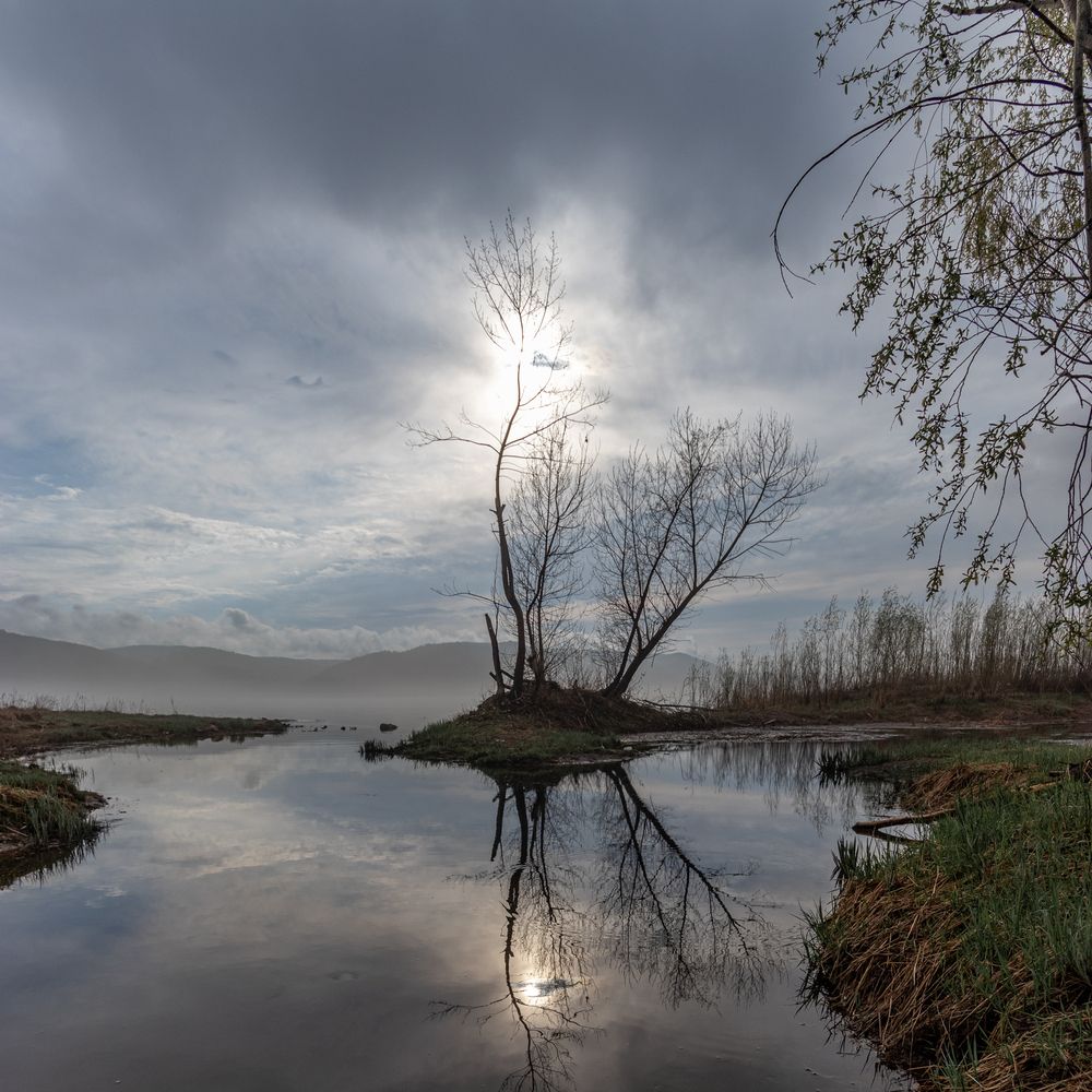 Photograph by Lapin Vitaly