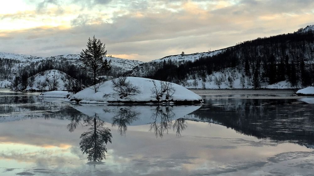 Photograph by Анна Семенова